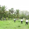 Tree Plantation at GA Bungalow